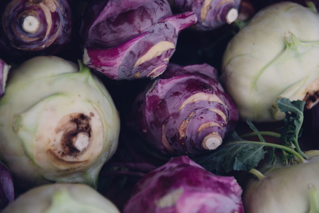 New-West-Farmers-market4-Johann-Vincent-Photography-1440x960