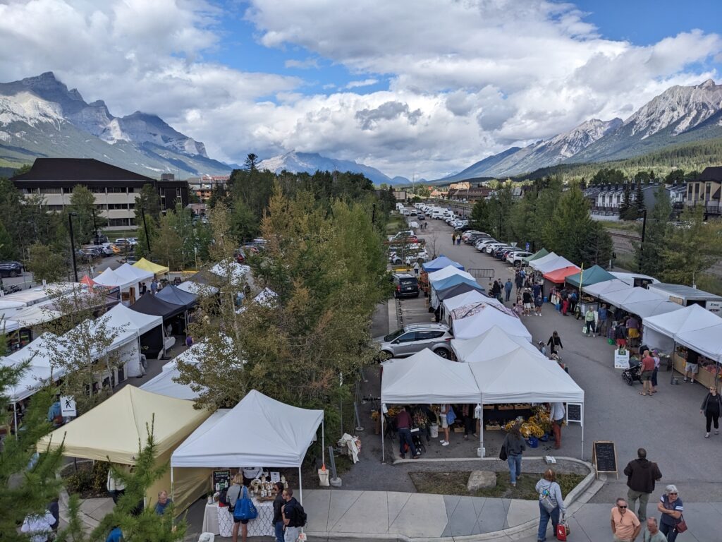 PXL_20230810_173014463 (1)