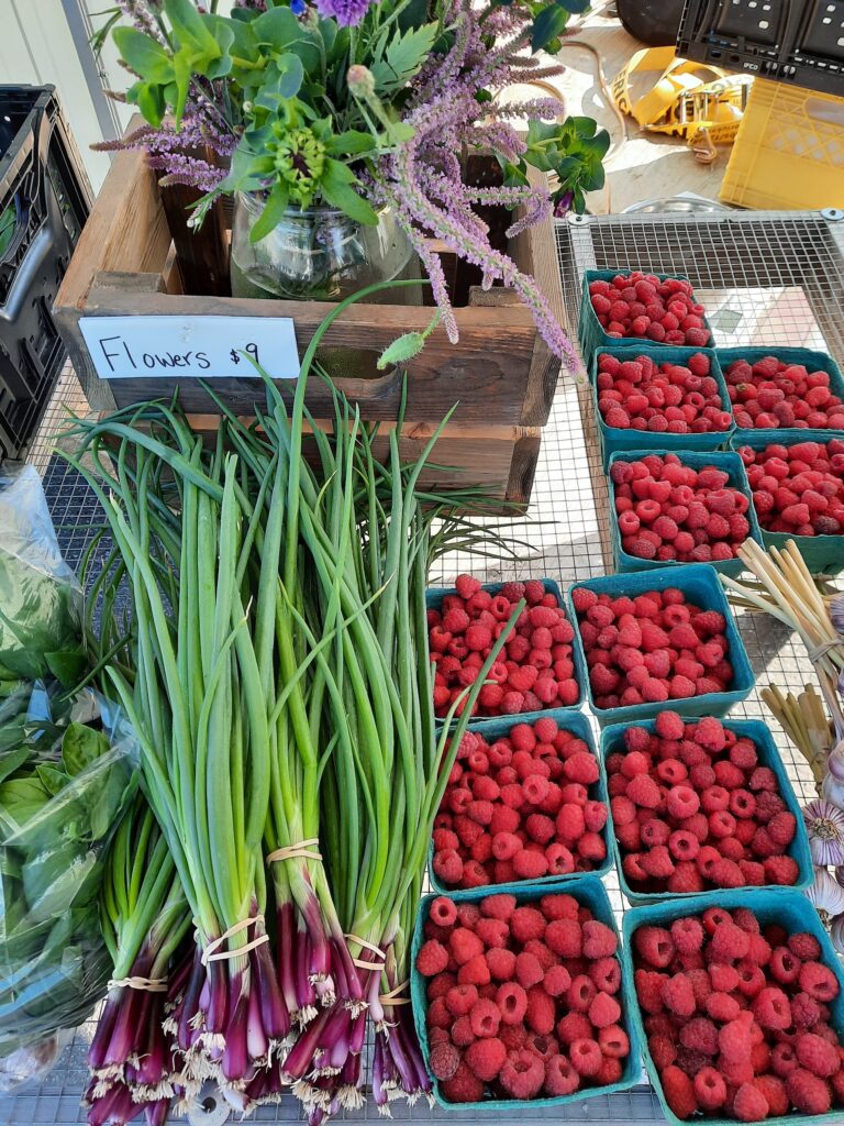 my-market-scout-local-farmers-market-2