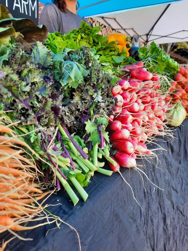 my-market-scout-local-farmers-market-8