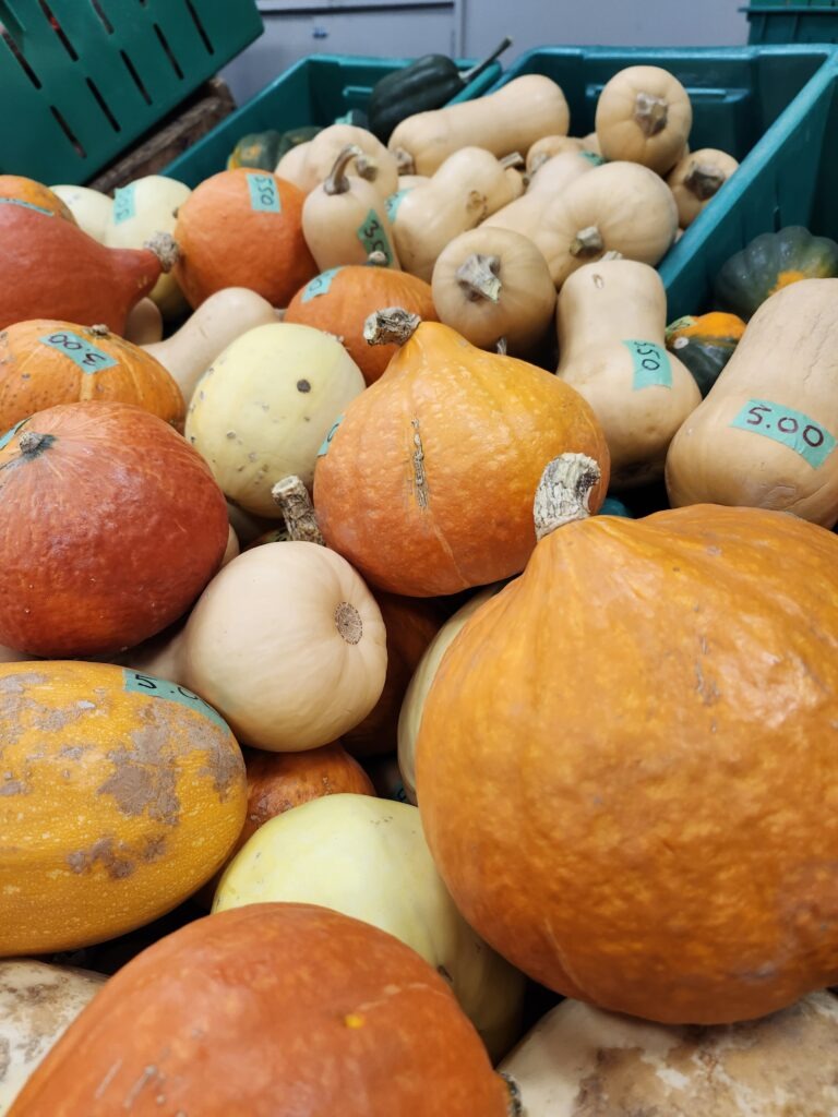 revelstoke-winter-market-01