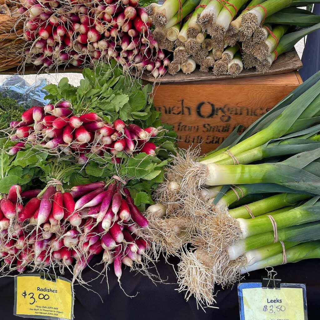 saanich-organics_51163120814_o.jpg